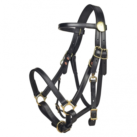 Horse Ridding Bridle